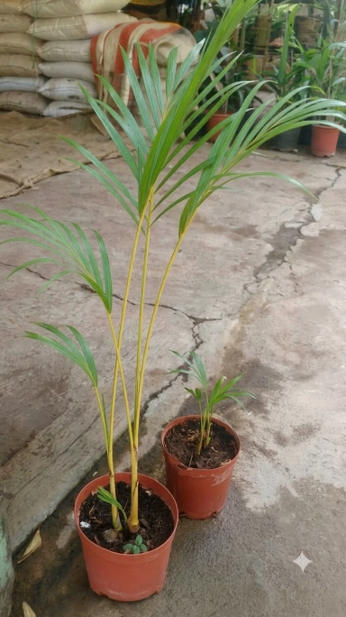 Week photo 4