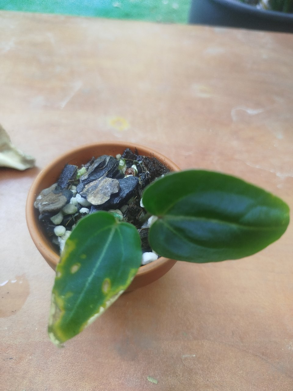 Week photo 1