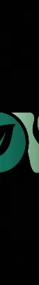 nurcholisalvin